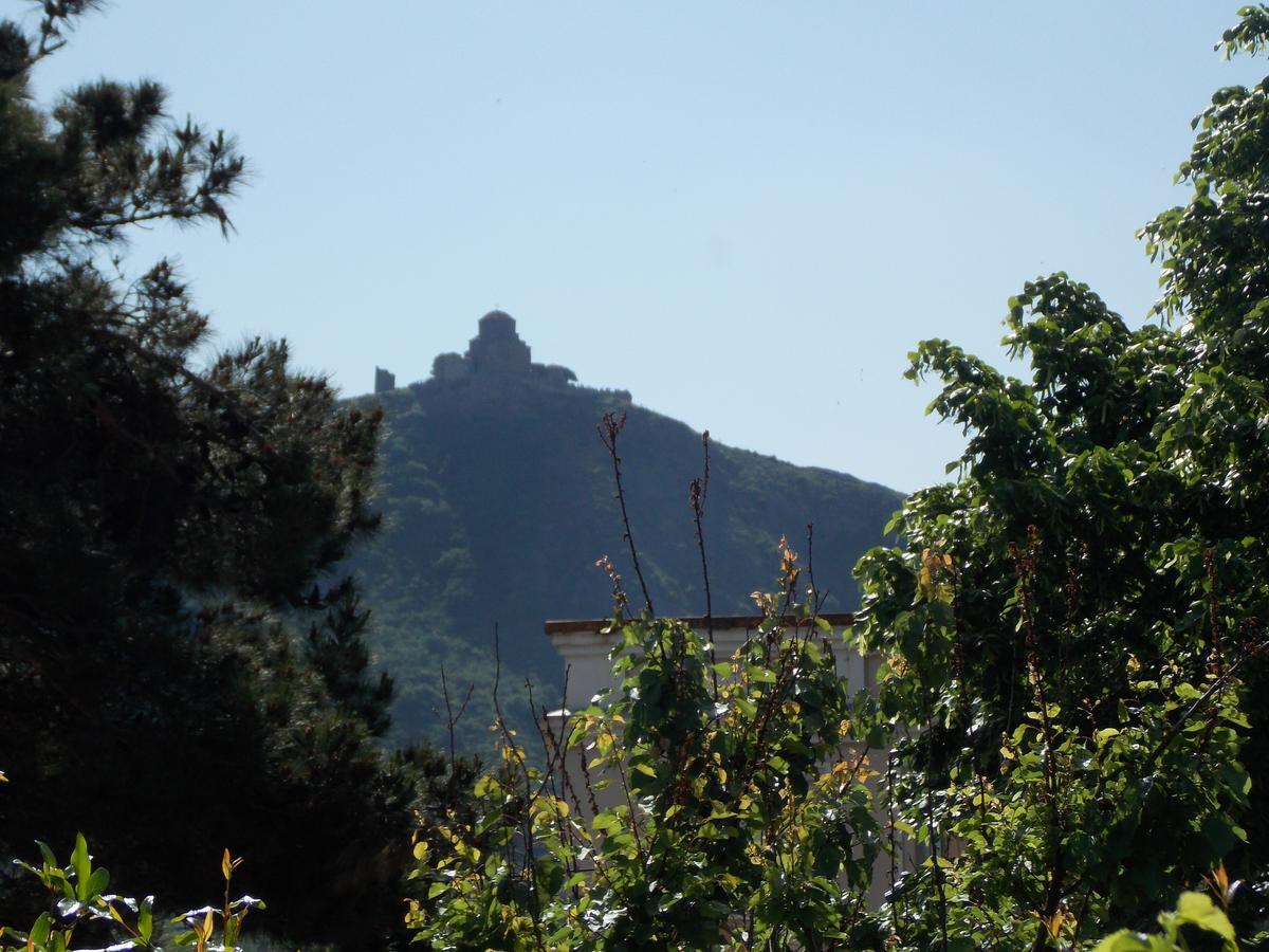 Babibu Hotel Mtskheta Exterior photo