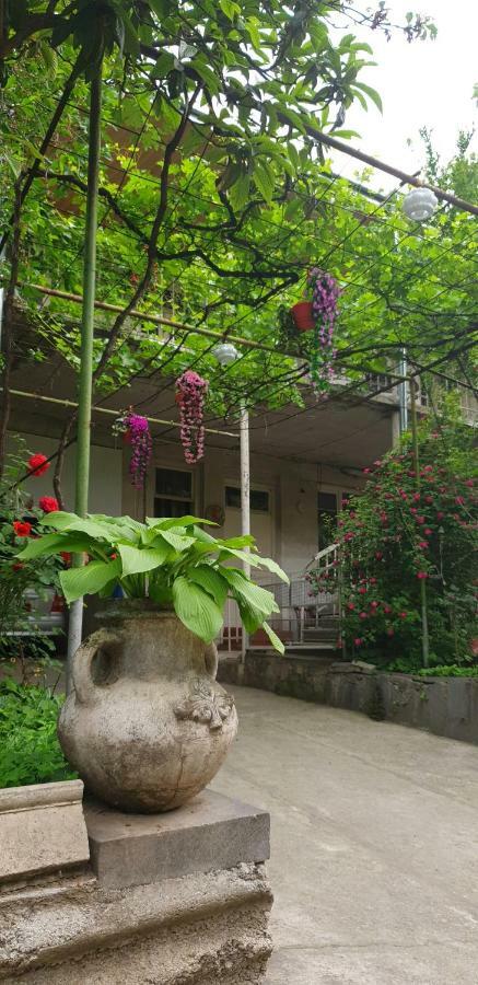 Babibu Hotel Mtskheta Exterior photo